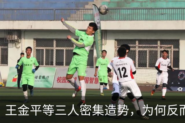 王金平等三人密集造势，为何反而坐实“蓝皮绿骨”标签？